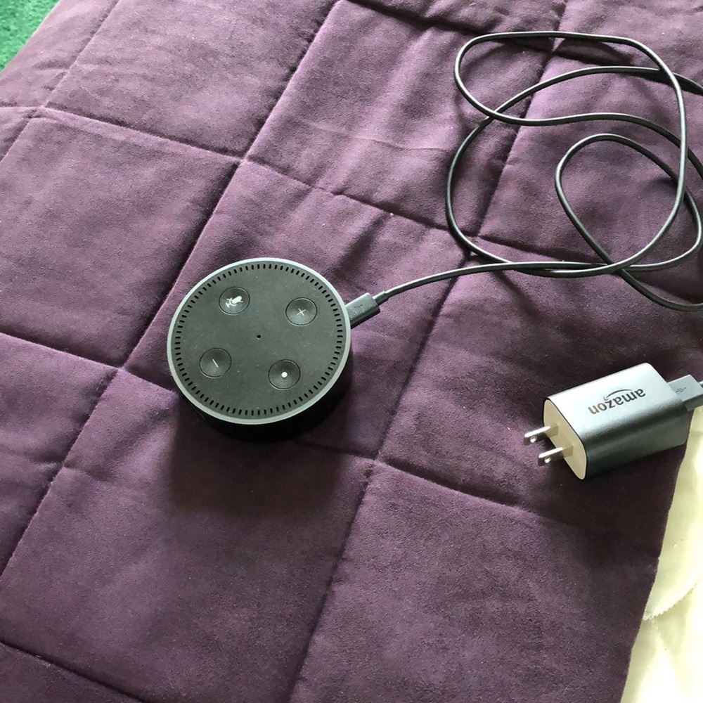 Small amazon echo
